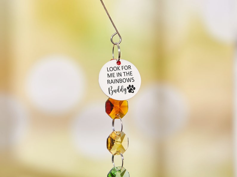 May include: A white circular charm with the text "Look for me in the rainbows Buddy" and a paw print hangs from a crystal suncatcher with orange, yellow, and green crystals.