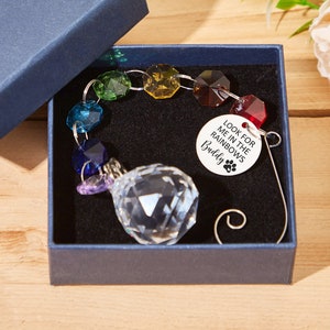 May include: A rainbow crystal suncatcher with a clear crystal ball and a silver tag that reads "Look for me in the rainbows Buddy".