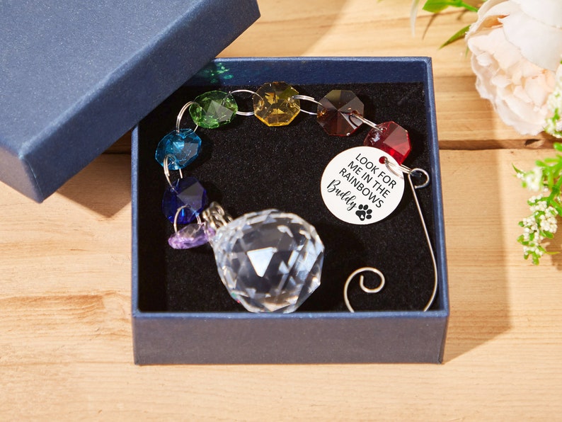 May include: A rainbow crystal suncatcher with a clear crystal ball and a silver tag that reads "Look for me in the rainbows Buddy".