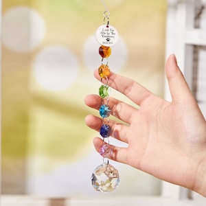 May include: A rainbow crystal suncatcher with a silver tag that reads "Look for me in the rainbow" and the name "Rocky".
