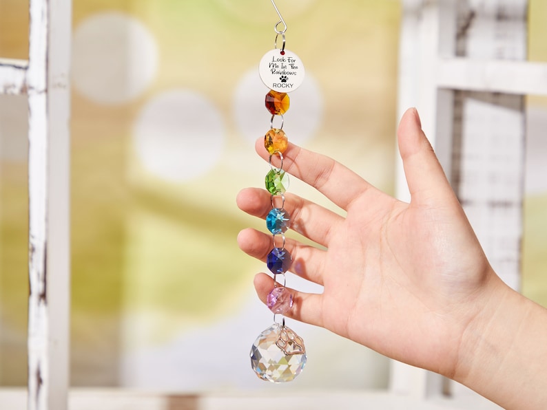 May include: A rainbow crystal suncatcher with a silver tag that reads "Look for me in the rainbow" and the name "Rocky".