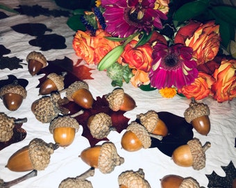 15 large acorns with caps Cottagecore Decor and craft supplies Natural oak tree acorns fall acorn decor centerpiece and natural wreath decor