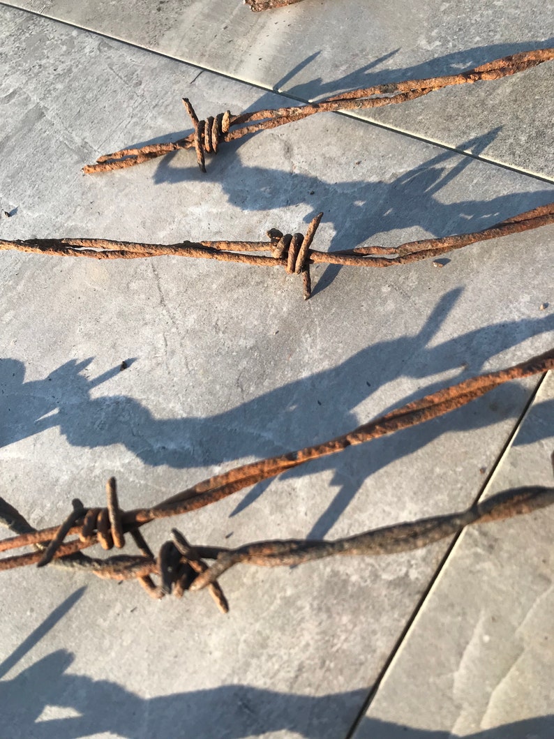 Brabwire Rusted Rusty Barbed Wire Rusted Barn Finds Rusted Metal Wire Mixed Media ...