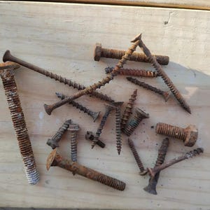 Rusty screws rusted bolts 20 rusted screws rusted patina assorted small screws rusty metal found objects mixed size rusty screws lot