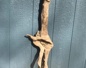 Groot stuk drijfhout natuurlijk drijfhout sculptuur natuurlijk hout decor drijfhout kunst grote drijfhout boom aquarium decor