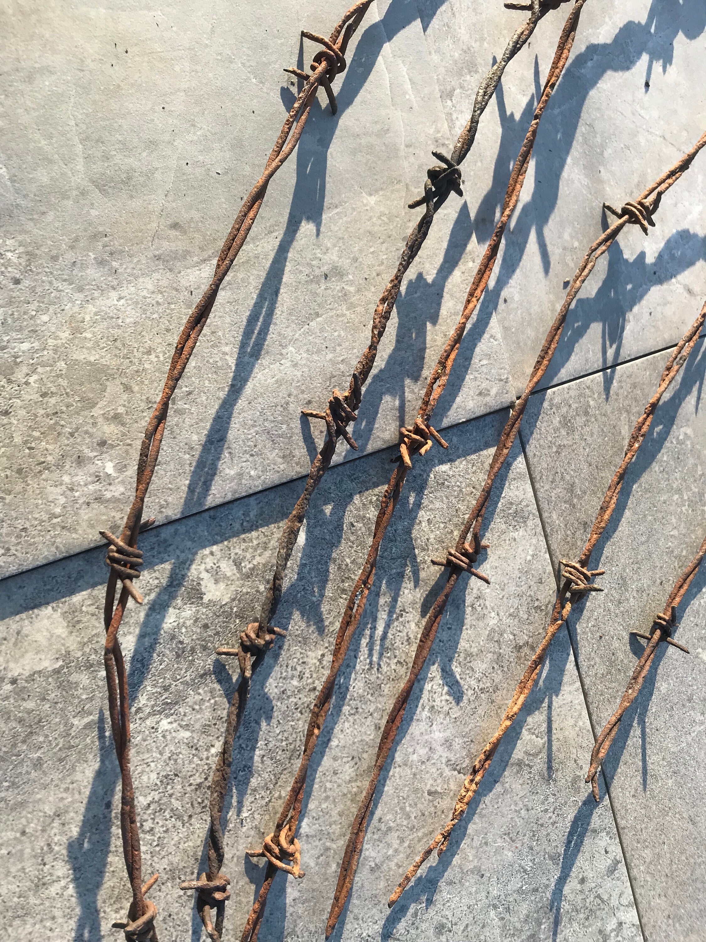 Rusty Barbed Wire Rusted Barn Finds Rusted Metal Wire Mixed Media ...