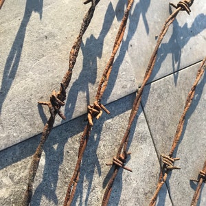 Può includere: Primo piano di una recinzione in filo spinato arrugginito su uno sfondo di cemento grigio. Il filo è incrociato e presenta punte affilate.