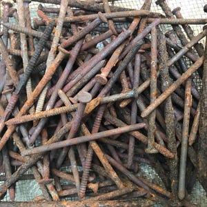 Könnte beinhalten: Ein Haufen rostige Nägel mit verschiedenen Kopfformen und -größen. Die Nägel weisen eine Mischung aus Braun-, Orange- und Grautönen auf, was auf Alter und Witterungseinflüsse hindeutet. Die Nägel befinden sich in einem Drahtgitterbehälter.