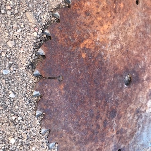 Puede incluir: Una hoja de sierra circular de metal con una superficie muy oxidada de color marrón anaranjado. La hoja presenta dientes afilados y dentados a lo largo de su borde exterior e incluye un orificio central, junto con varias ranuras de expansión.