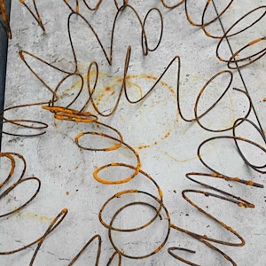 May include: Close-up of several rusty metal springs, some with orange paint, arranged on a light gray surface. The springs are in various shapes, including spirals and curved lines, creating an abstract design.