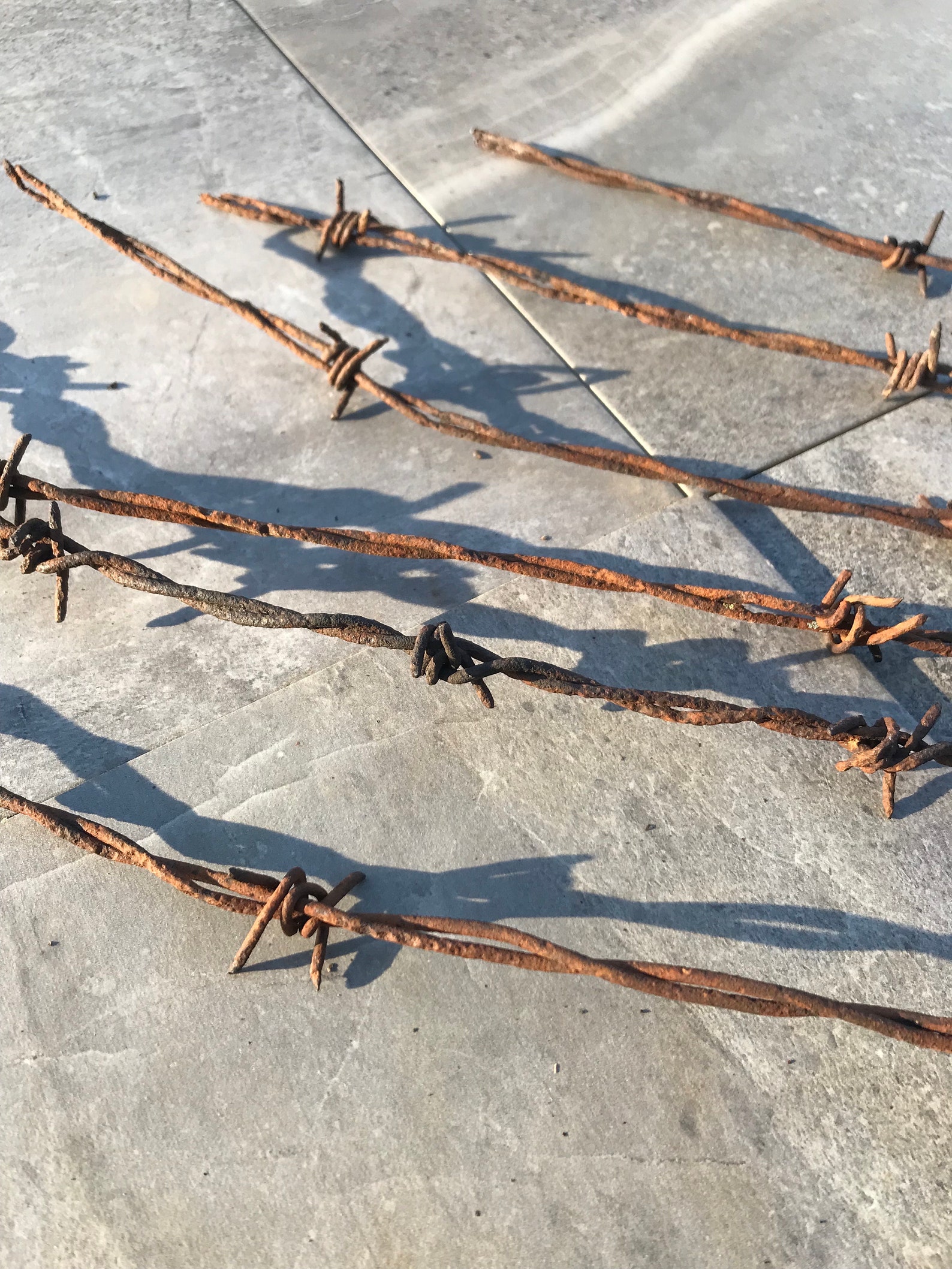 Brabwire Rusted Rusty Barbed Wire Rusted Barn Finds Rusted Metal Wire Mixed Media ...