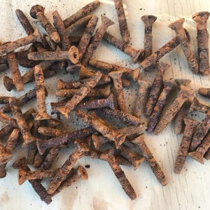 Rusty screws 20 large rusted bolts 2 inch screws rusty bits Mixed Media supplies rusty junk metal found objects rust pieces metal scraps