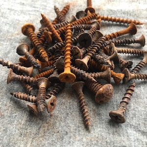 May include: A pile of rusty screws with various head shapes and sizes. The screws are a mix of brown and orange hues, with visible signs of corrosion. They are scattered on a textured, gray surface.
