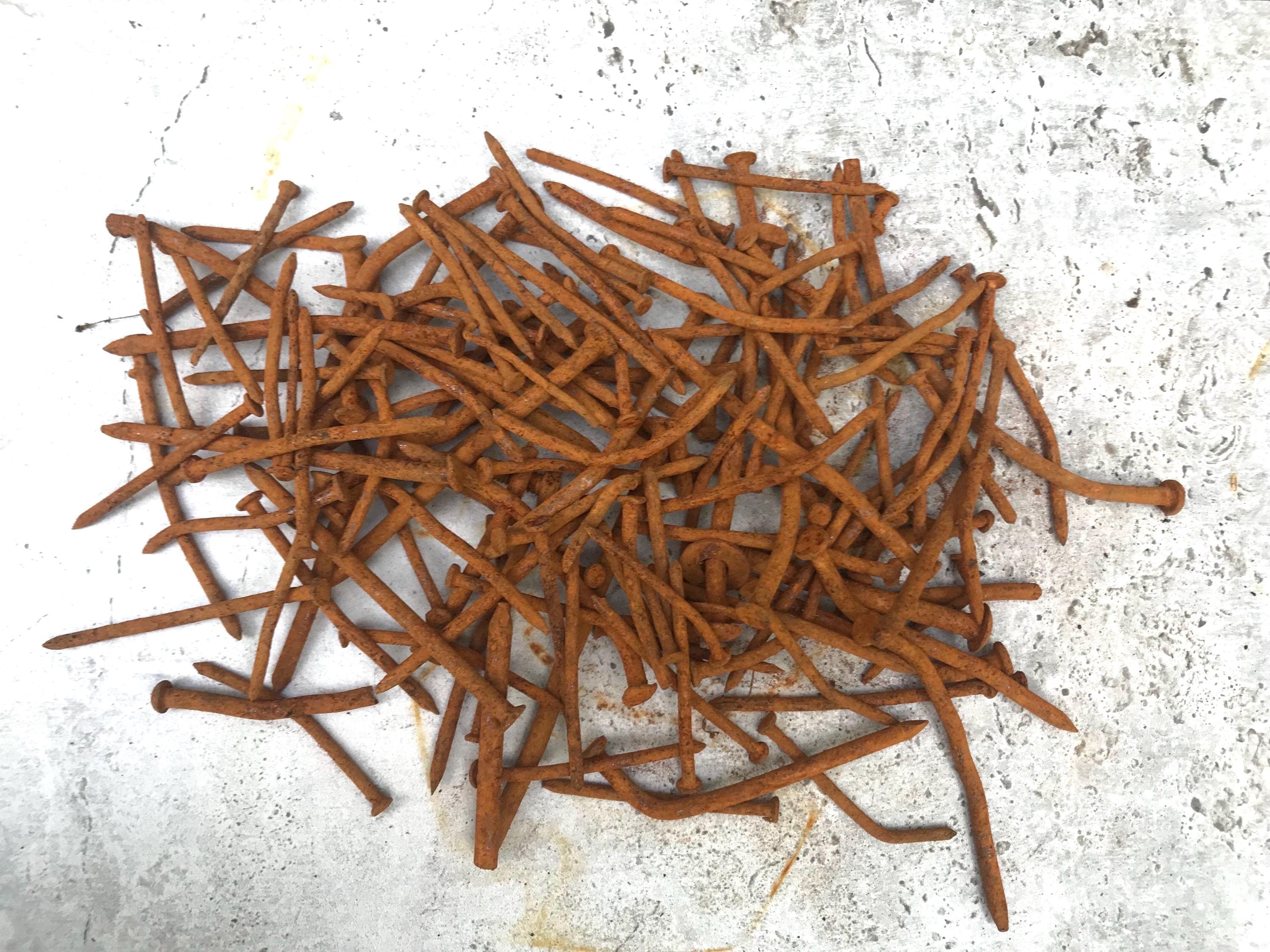 Rusty Bent Nails Vintage Rusted Hardware 20 Bent Nails Mixed Media