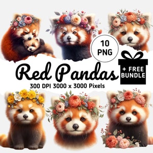 10 imágenes prediseñadas realistas de panda rojo, panda esponjoso con diadema floral PNG, adorables ilustraciones de vida salvaje, lindo arte animal para descarga digital