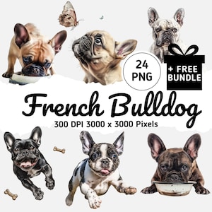 Süße Französische Bulldogge Clipart Bundle, 24 realistische Hunde PNGs, süße Welpen & Erwachsene, verschiedene Posen zum digitalen Download, Haustier Illustration Kunst