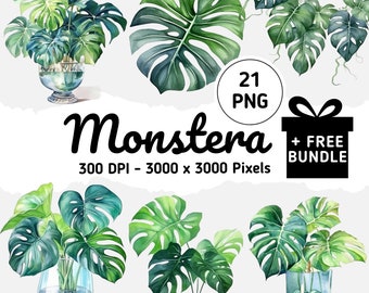 Watercolor Monstera Clipart: Tropical Greenery PNG (Digital Download)