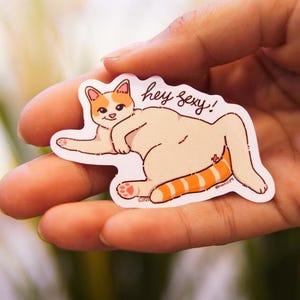 Pegatina de gato gracioso y simpático
