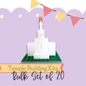 Set of 20 Temple Building Kits