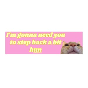 I'm Gonna Need You to Step Back a Bit Hun| Bumper Sticker AND Magnet | Funny Meme Sticker | 8.7'' X 2.7'' | Waterproof Premium Quality