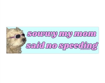 May include: A rectangular bumper sticker with a light blue background. A dog wearing sunglasses is on the left. The text "sowwy my mom said no speeding" is in pink, with a cursive font.