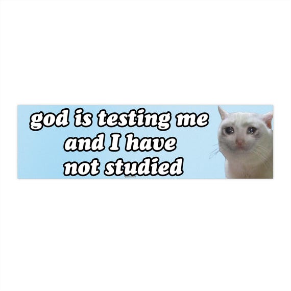 God is testing me and I have not studied | Bumper Sticker AND Magnet | Funny Meme Sticker | 8.7'' X 2.7'' | Waterproof Premium Quality