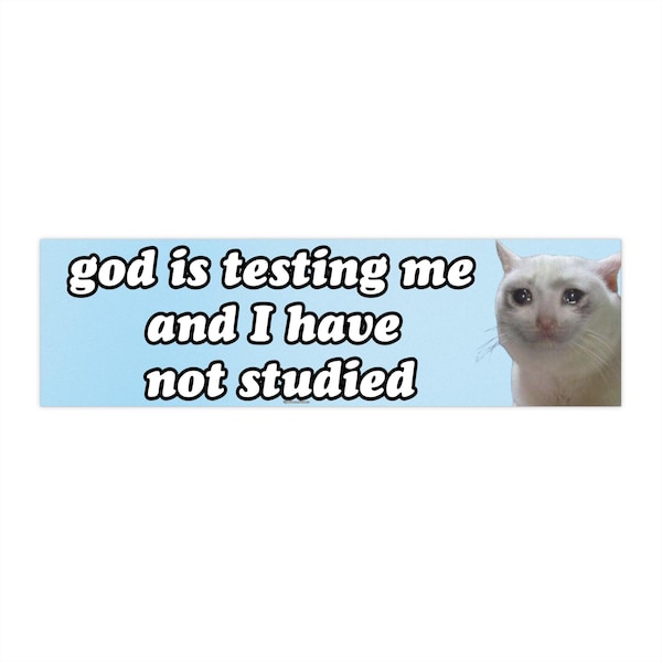 God is testing me and I have not studied | Bumper Sticker AND Magnet | Funny Meme Sticker | 8.7'' X 2.7'' | Waterproof Premium Quality