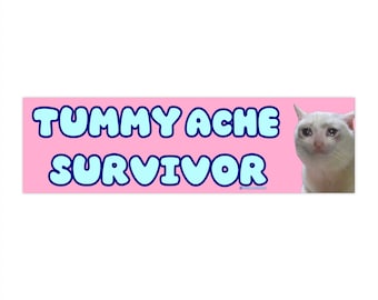 Tummy Ache Survivor | Bumper Sticker AND Magnet | Funny Meme Sticker | Car Sticker | 8.7'' X 2.7'' | Waterproof Premium Quality