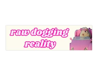 Puede incluir: Una pegatina rosa y blanca con el texto "raw dogging reality" en letras rosas. Un hámster blanco con gafas de sol conduce un coche de juguete rosa.