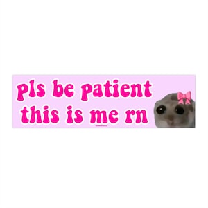 pls be patient this is me rn | Bumper Sticker AND Magnet | Funny Meme Sticker | 8.7'' X 2.7'' | Waterproof Premium Quality