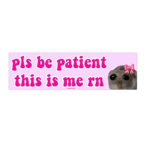 pls be patient this is me rn | Bumper Sticker AND Magnet | Funny Meme Sticker | 8.7&#39;&#39; X 2.7&#39;&#39; | Waterproof Premium Quality