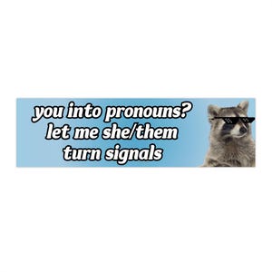 You into pronouns? let me she/them turn signals| Bumper Sticker AND Magnet | Funny Meme Sticker | 8.7&#39;&#39; X 2.7&#39;&#39; | Waterproof Quality