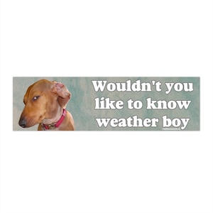 Wouldn't You Like to Know Weather Boy | Bumper Sticker AND Magnet | Funny Meme Sticker | 8.7'' X 2.7'' | Waterproof Premium Quality