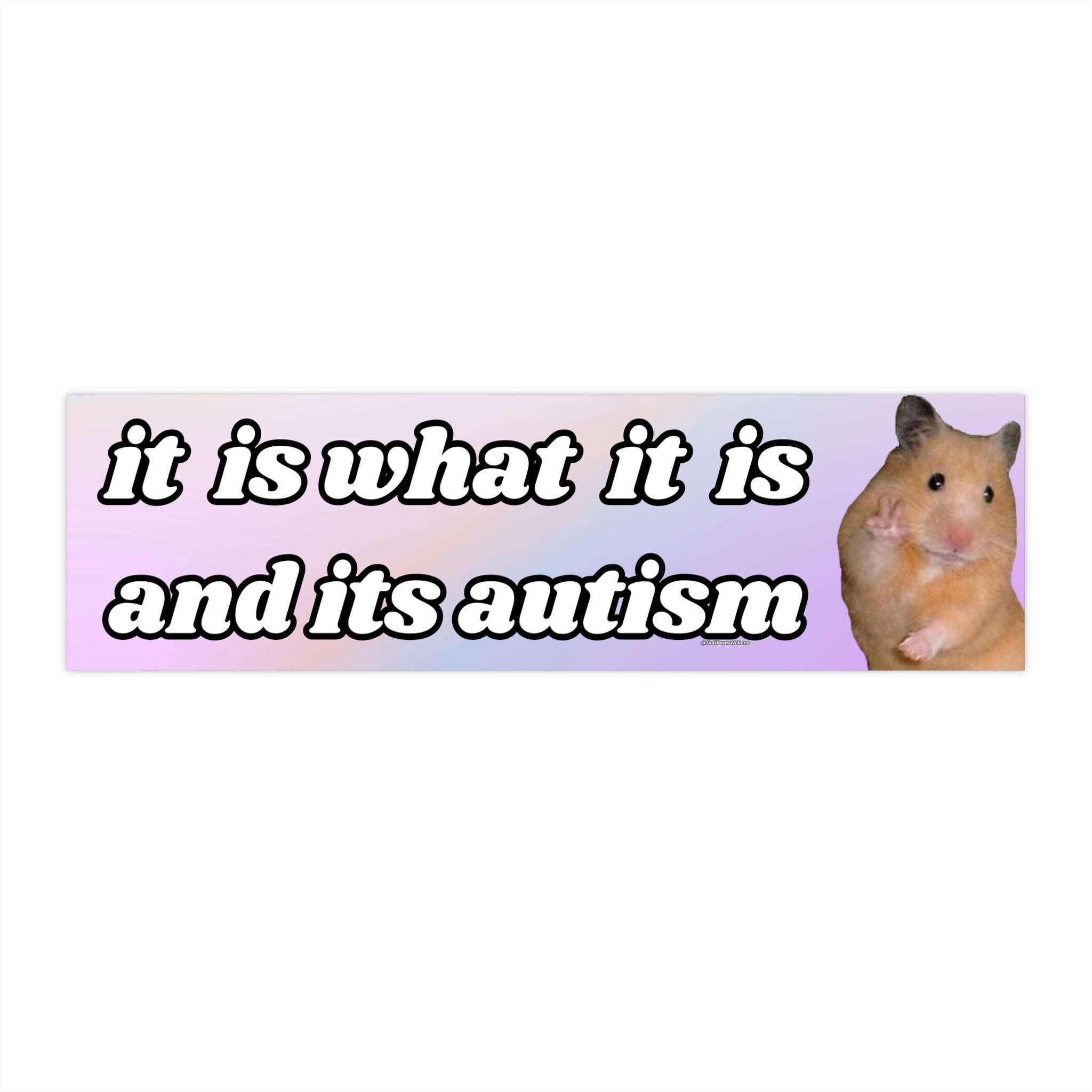 It is What it is and its Autism | Bumper Sticker AND Magnet | Funny Meme Sticker | 8.7'' X 2.7'' | Waterproof Quality