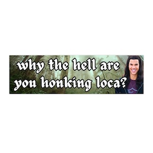 Why the hell are you honking loca | Bumper Sticker AND Magnet | Funny Meme Sticker | 8.7&#39;&#39; X 2.7&#39;&#39; | Waterproof Premium Quality