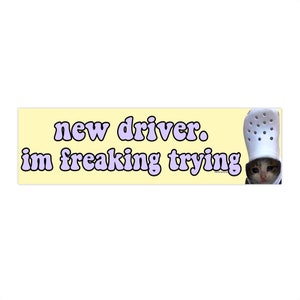 New driver im freaking trying | That Bumper Sticker AND Magnet | Funny Meme Sticker | 8.7'' X 2.7'' | Waterproof Premium Quality