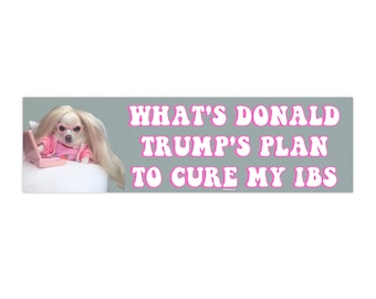 May include: A white chihuahua wearing pink sunglasses and a pink dress sits in front of a laptop computer. The text "WHAT'S DONALD TRUMP'S PLAN TO CURE MY IBS" is written in white letters with a pink outline on a gray background.