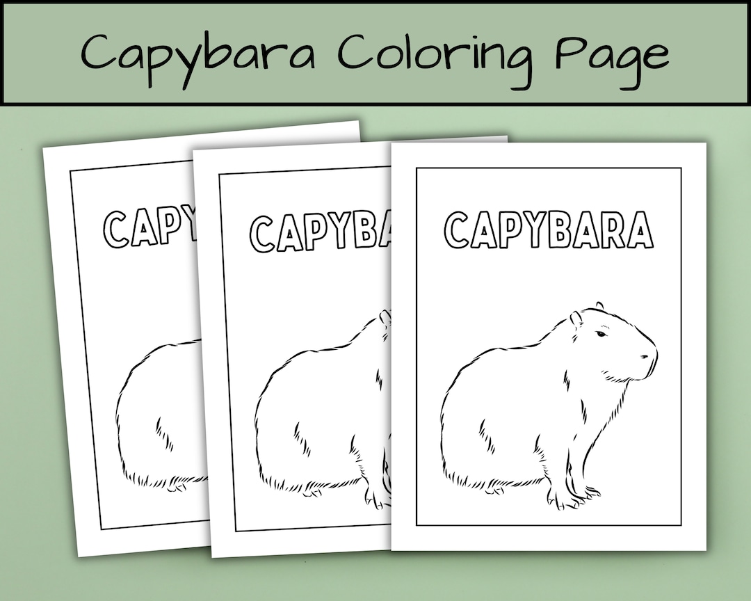 Capybara Coloring Page Capybara Gift Printable Coloring Book for