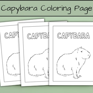 Capybara Coloring Page | Capybara Gift | Printable Coloring Book for Kids and Adults | Capybaras Birthday | Animals, Pets, Doodle, PDF, PNG