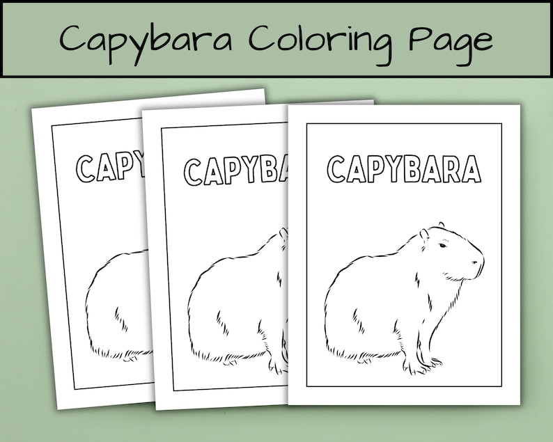 Capybara Coloring Page | Capybara Gift | Printable Coloring Book for