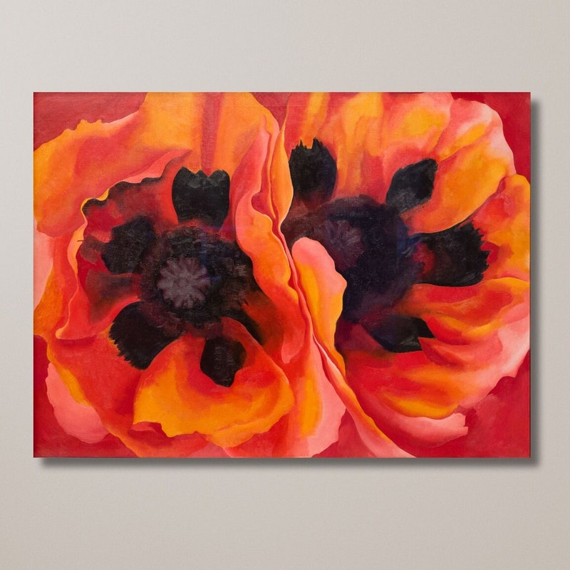Oriental Poppy - Etsy