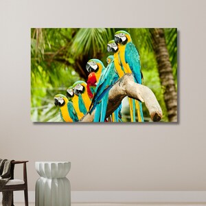 Colorful Parrots Poster, Animal Canvas, Parrots Wall Art, Animal Wall Art, Colorful Wall Art, Parrots Poster | Canvas Wall Art Home Decor