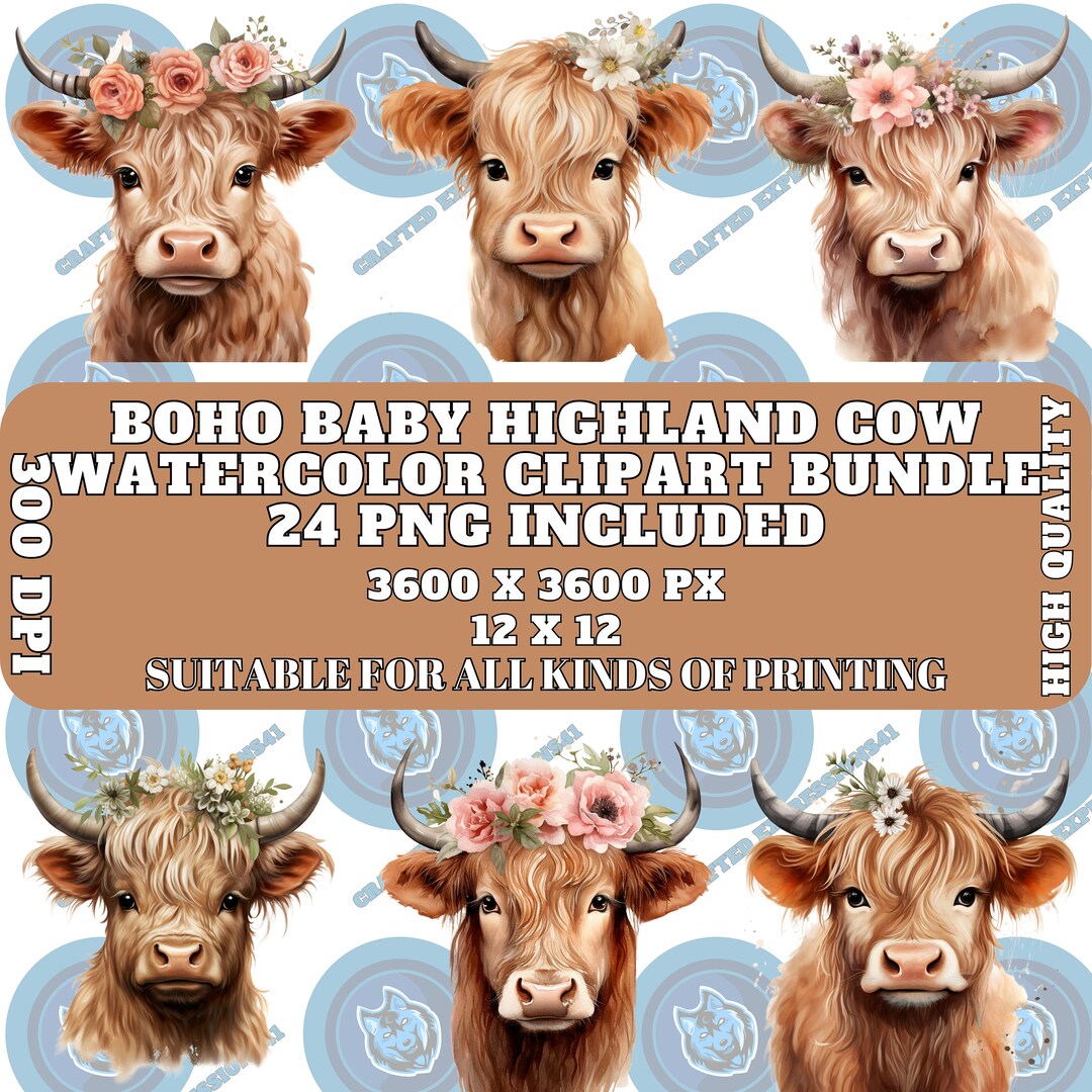Boho Baby Highland Cow Watercolor Clipart Bundle 24 Transparent Pngs ...