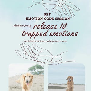 May include: A promotional graphic with the text "PET EMOTION CODE SESSION" and "release 10 trapped emotions." Two photos of golden retrievers are included. The background is a light blue gradient with line art of hands.