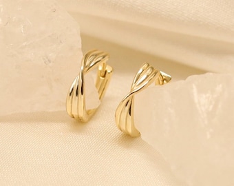 May include: A pair of gold-toned hoop earrings with a twisted design. The earrings are displayed on a white surface.