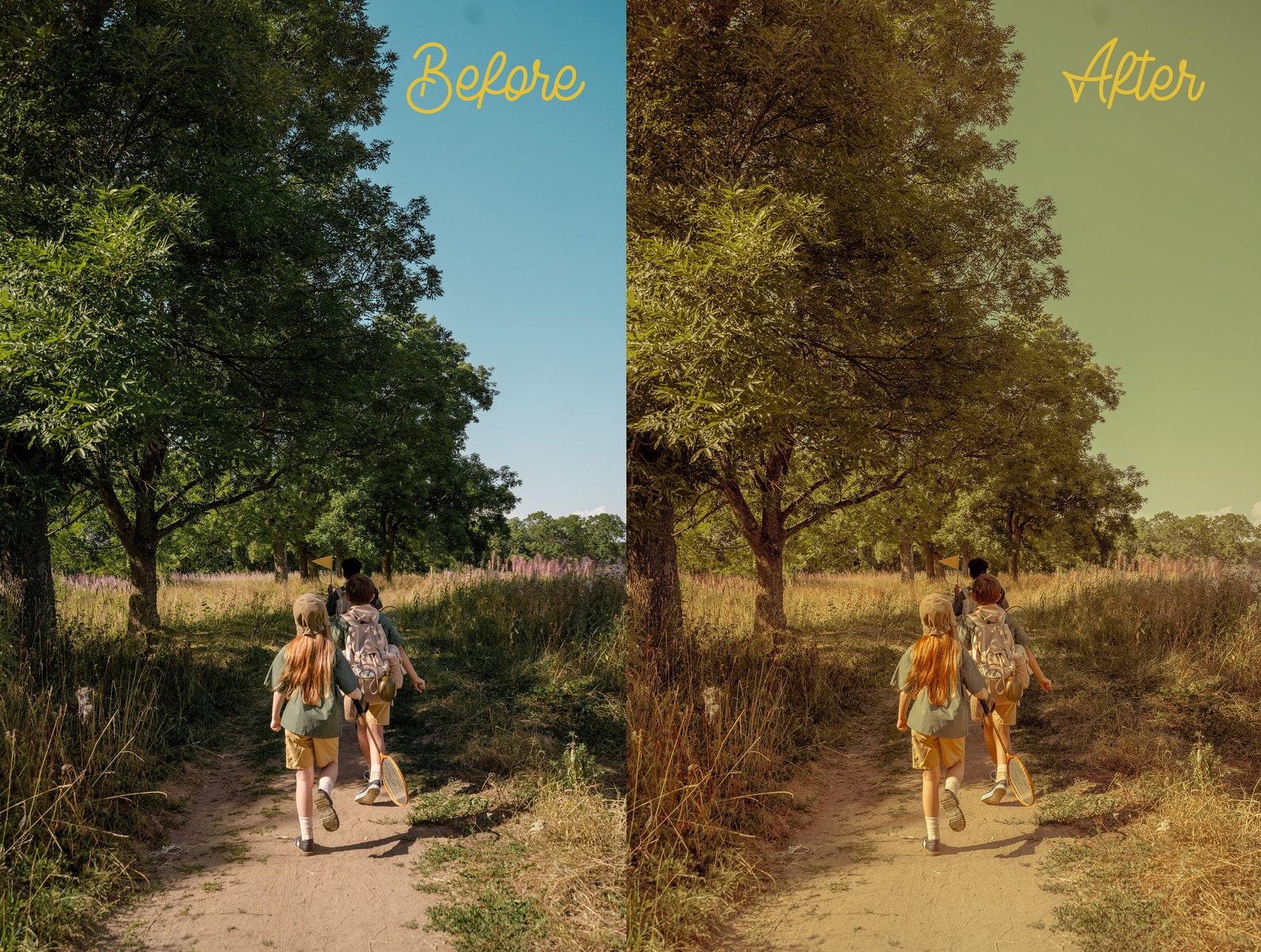 Wes Anderson Presets Color Grading Presets Lightroom Presets Etsy UK