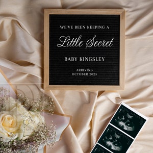 Pregnancy Announcement Digital Baby Announcement Gender Neutral Social Media Reveal Keeping a Secret