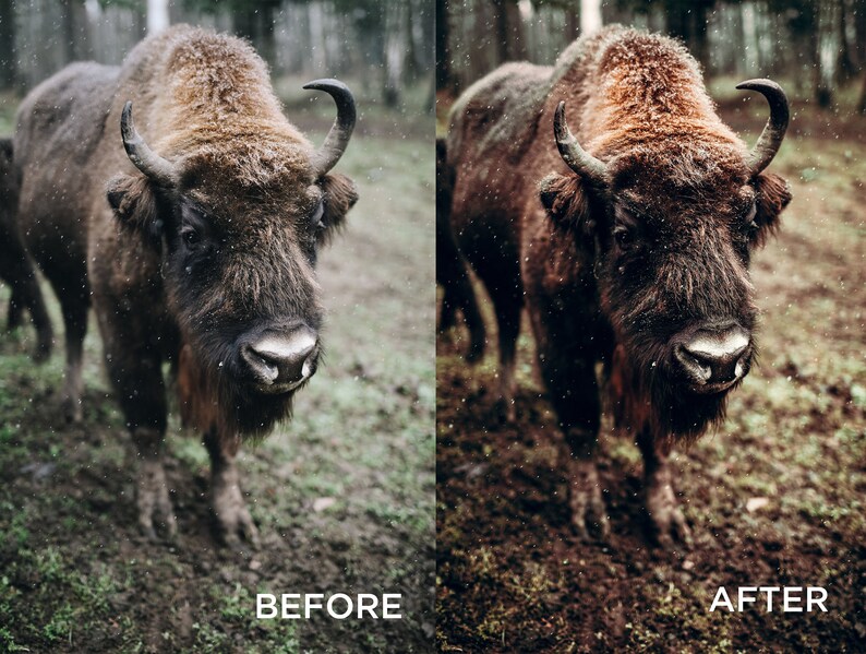 Western Presets Moody Presets Rustic Presets Cowboy Presets Outdoor