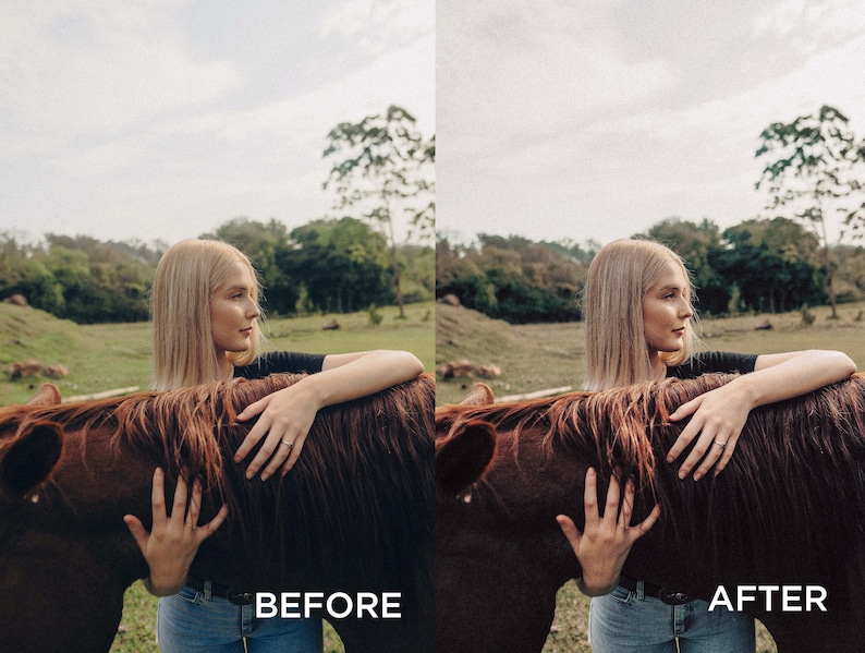 Western Presets Moody Presets Rustic Presets Cowboy Presets Outdoor