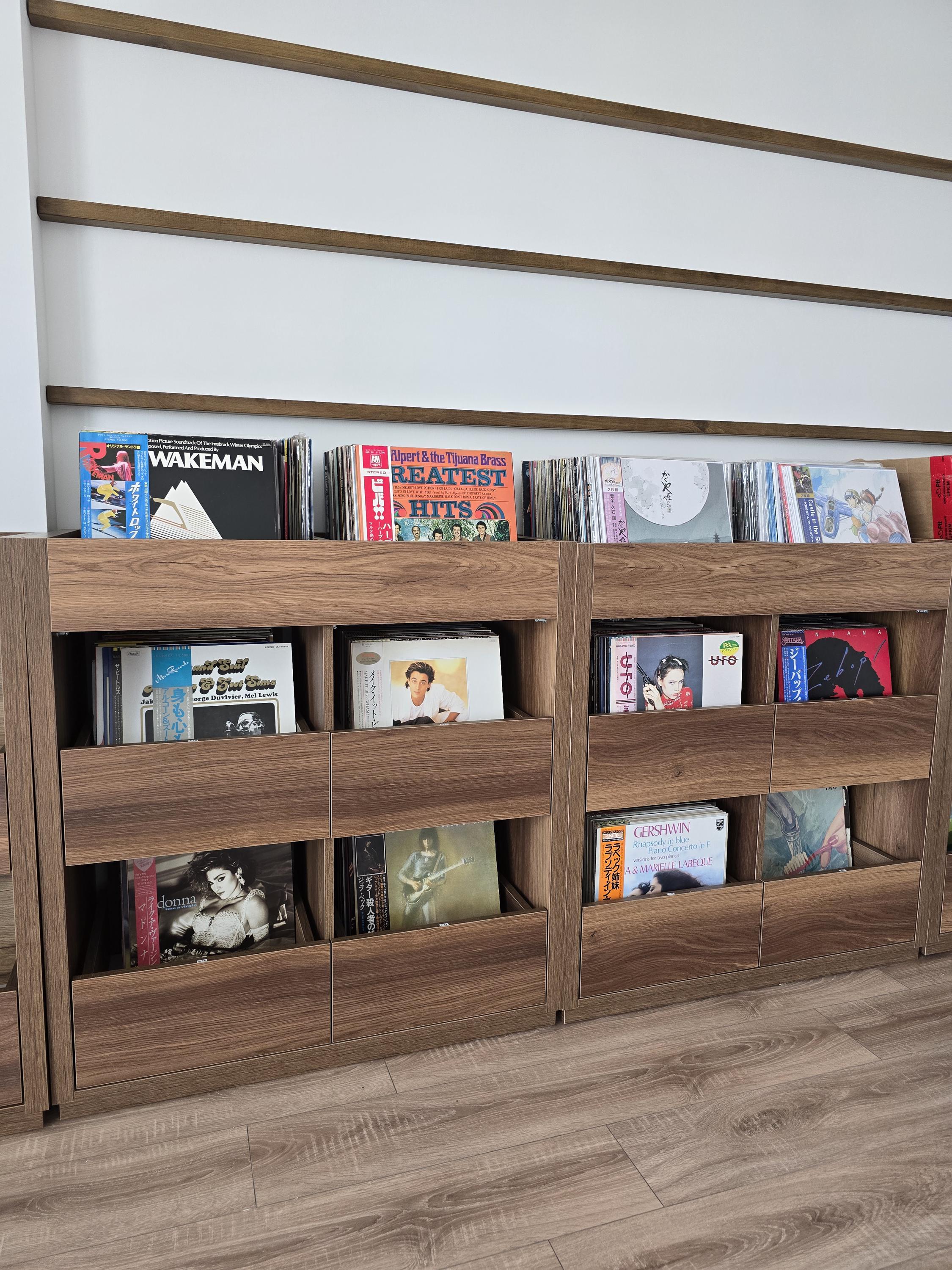 Custom Vinyl Record Storage Cabinet – Handmade Drawer Unit for Lps ...